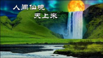 超能动物联盟